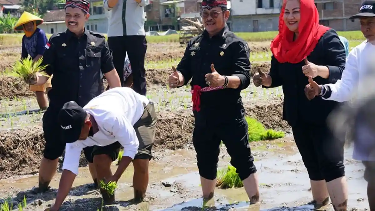 Mentan: Panen dan Tanam Padi di Kota Semarang Perkuat Ketersediaan Pangan Hadapi Elnino