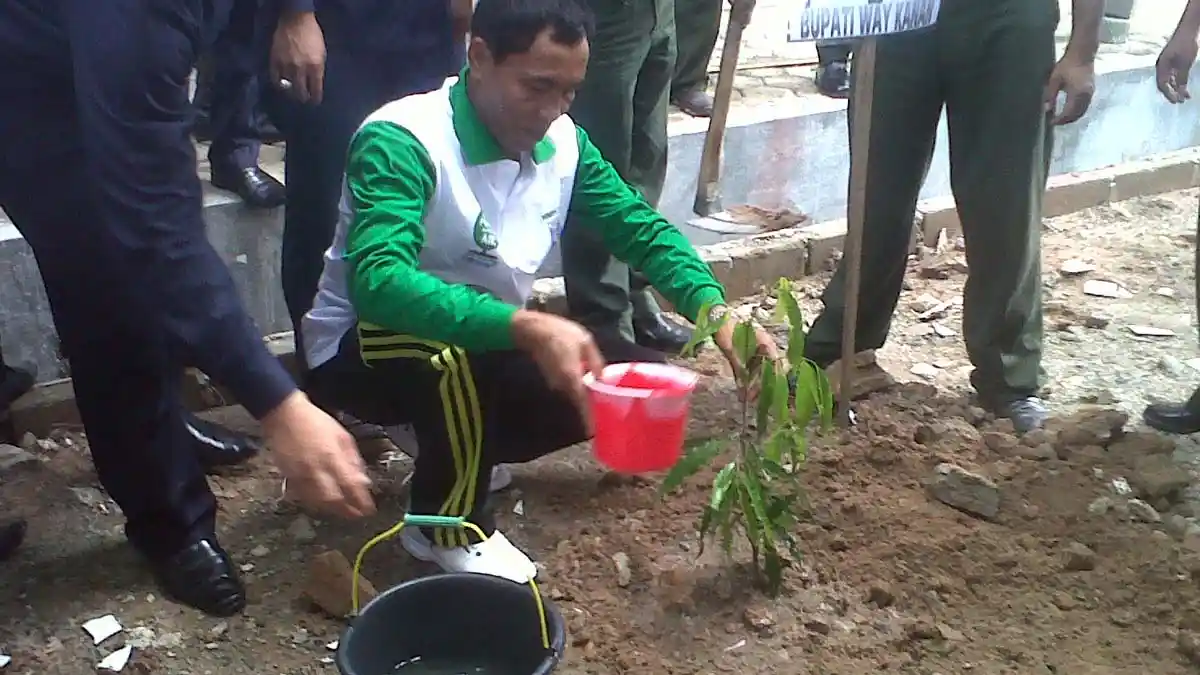 Dishutbun Waykanan Imbau Pekebun Gunakan Sistem Tumpang Sari