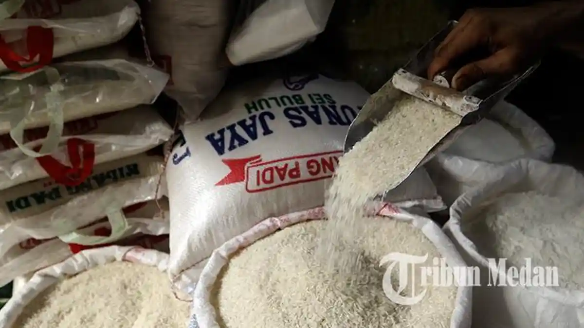 IRONI Beras di Indonesia, Harga Lebih Mahal dari Pasar Global tapi Pendapatan Petani Tetap Minim
