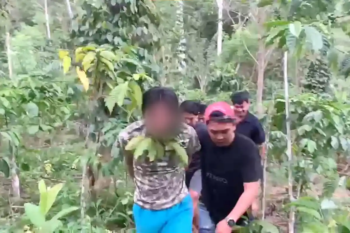 Satu DPO Pencuri Besi Jembatan Penanding Berhasil Diringkus, Ternyata Sembunyi di Kebun Kopi