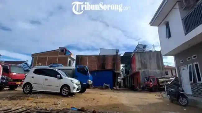 Tribun