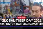 aksi-harimau.jpg