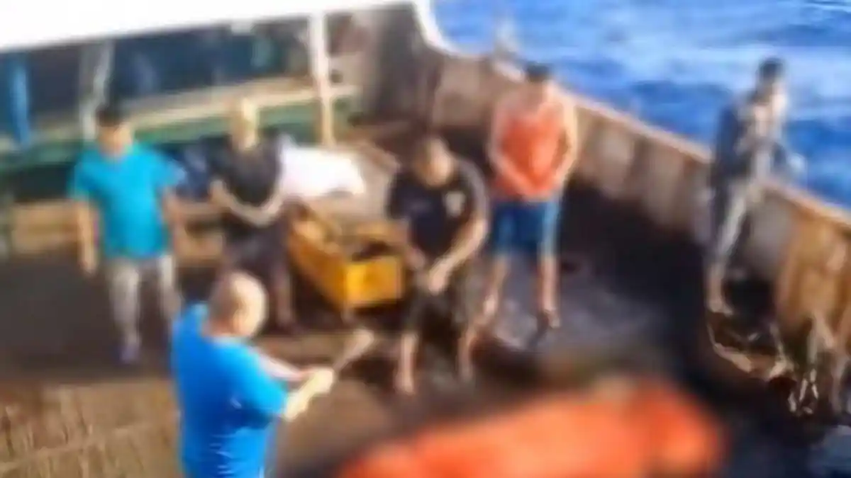 ABK Indonesia Selamat dari Kapal China Buka Suara, Makan Umpan Ikan Tak Segar, Cuma Bisa Pasrah