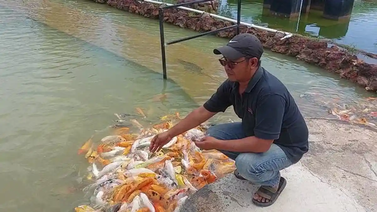Libur Lebaran dan Cengbeng, Kunjungan ke Taman Wisata BMW Mentok Babar Meningkat 100 Persen