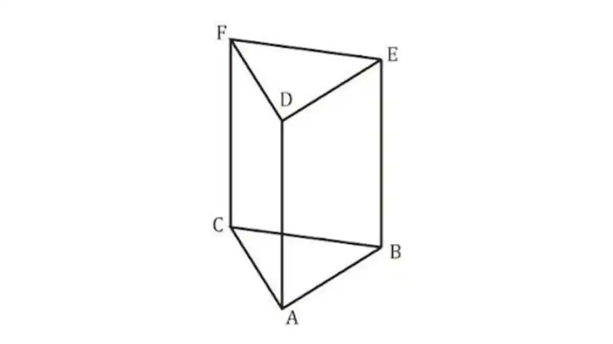 KUNCI JAWABAN Matematika Kelas 8 Halaman 144 Semester 2, Hitunglah Luas Permukaan Prisma