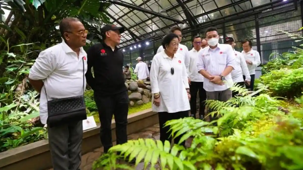 Megawati: Dedaunan Besar Kurang Efektif Tangkap Karbon Dioksida dan Hasilkan Oksigen