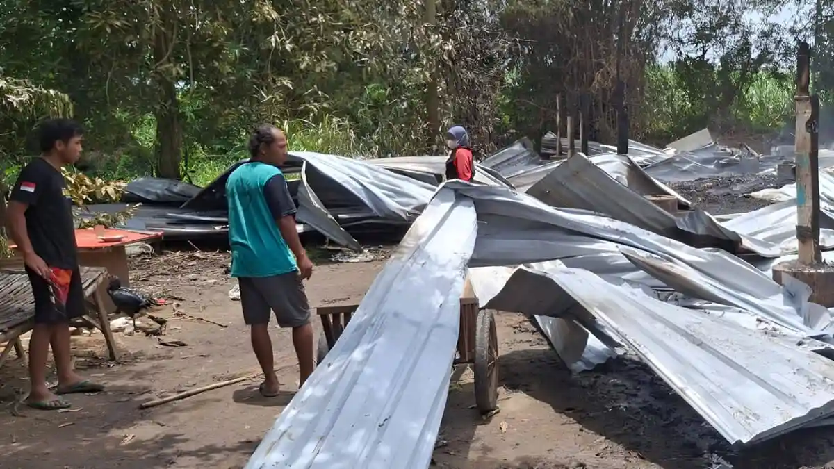 Nasib Pilu Peternak Magetan, 4 Ribu Bibit Ayam Potong Hangus Terbakar