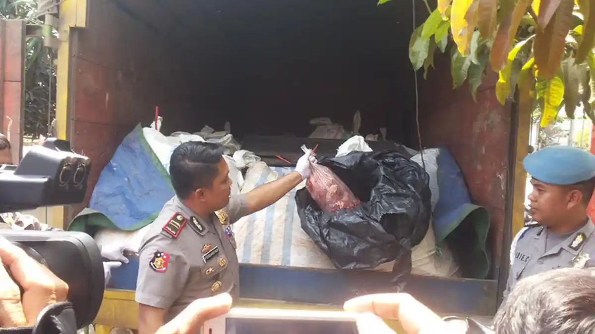 Modus Dua Penyelundup Daging Celeng Tujuan Jakarta Terungkap
