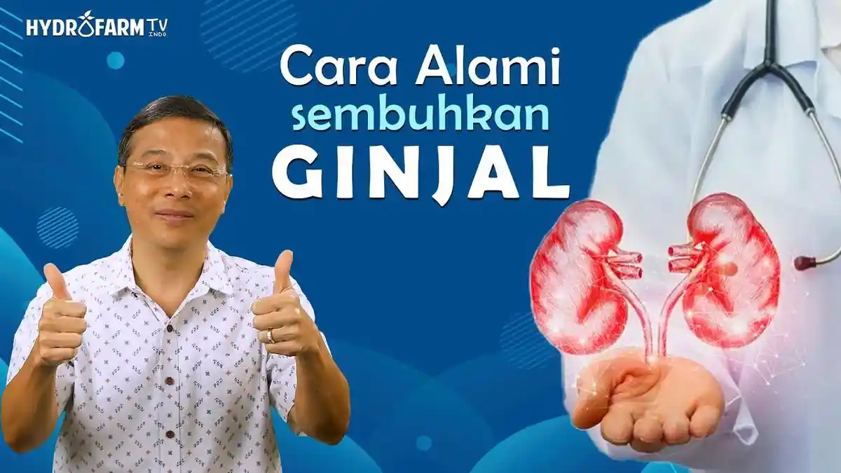 5 Cara Mudah Mengobati Penyakit Gagal Ginjal Agar Cepat Sembuh, Tanpa Harus Pergi ke Rumah Sakit