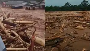 BANJIR-TAPTENG-KAYU-HUTAN-BATANG-TORU.jpg