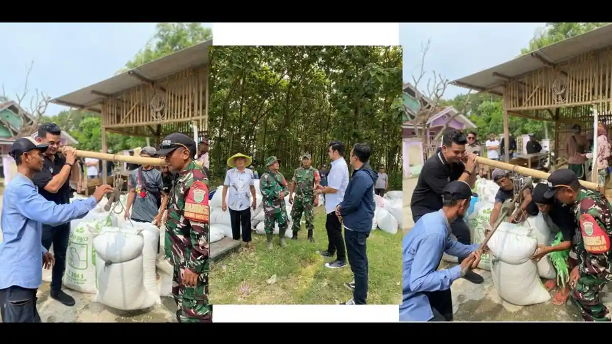 Kerja Sama dengan TNI, Bulog Karawang Serap Gabah 77.000 Ton