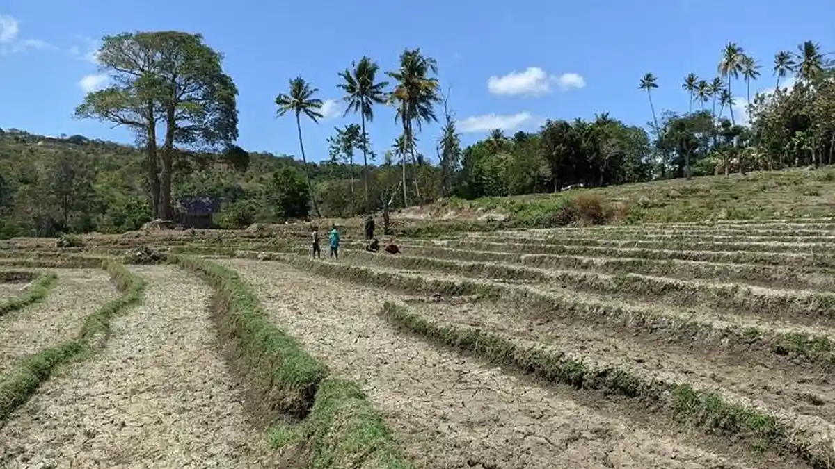 Dukung Program Pemerintah, BBPP Kupang Pantau Lahan PAT di Kota Kupang