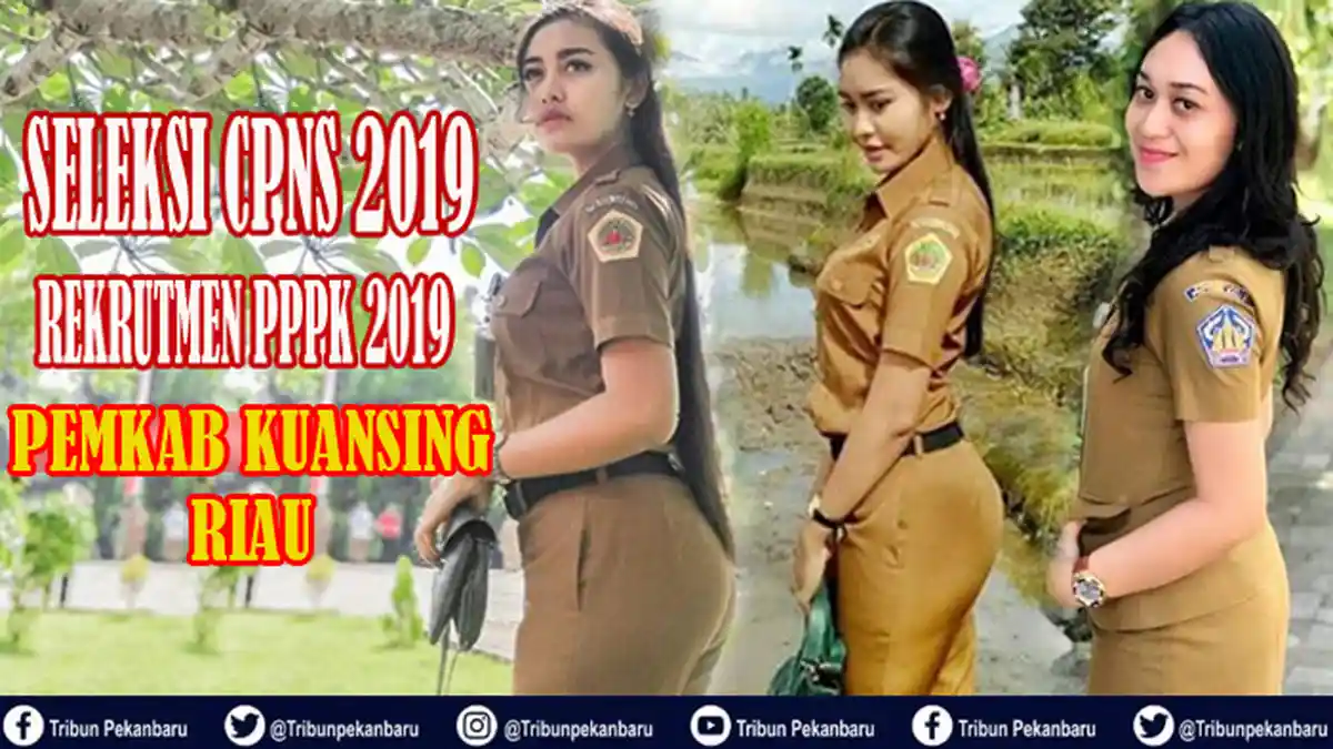 Caleg PKB dan Caleg PPP Lulus Seleksi CPNS 2018 Kuansing, Dilaporkan ke Ombudsman RI Perwakilan Riau