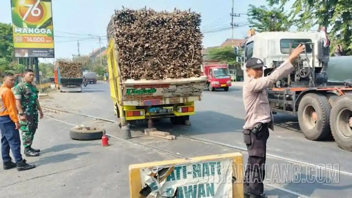 Dampak Truk Angkut Tebu Mogok di Atas Rel Kereta Api di Jalan Raya Tanggulangin, Sidoarjo