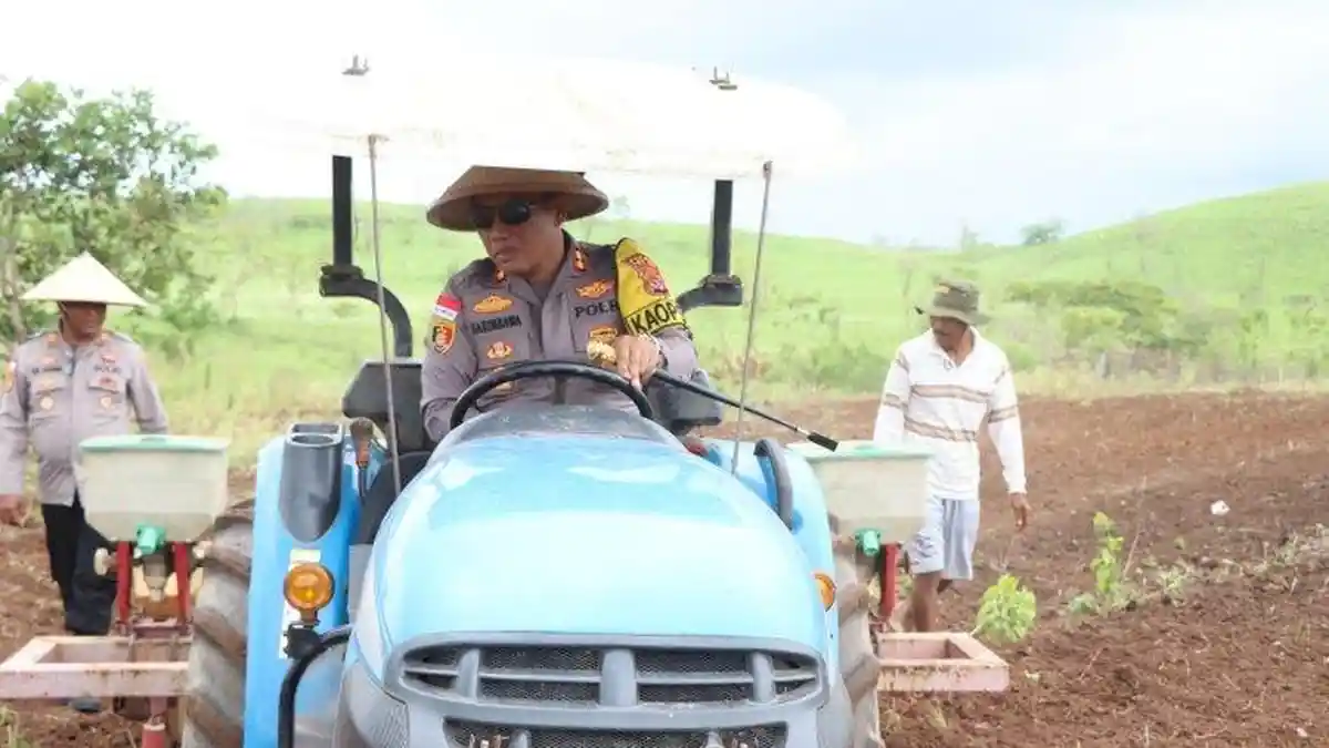 Petani dan Polres Sumba Timur Kolaborasi Tanam Jagung Seluas 50 Hektar