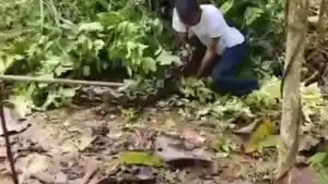 Piton4.jpg
