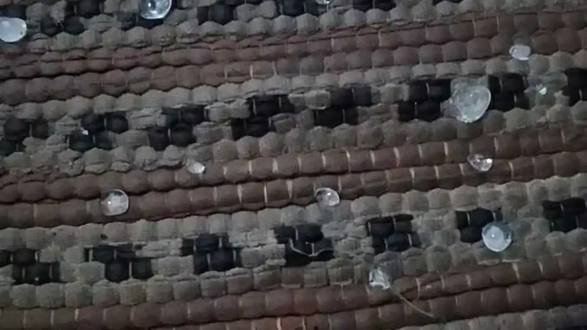Penjelasan BMKG tentang Fenomena Hujan Es di Surabaya