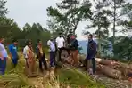Hutan-Pinus-dirusak-sekelompok-mafia-ilegal-logging.jpg