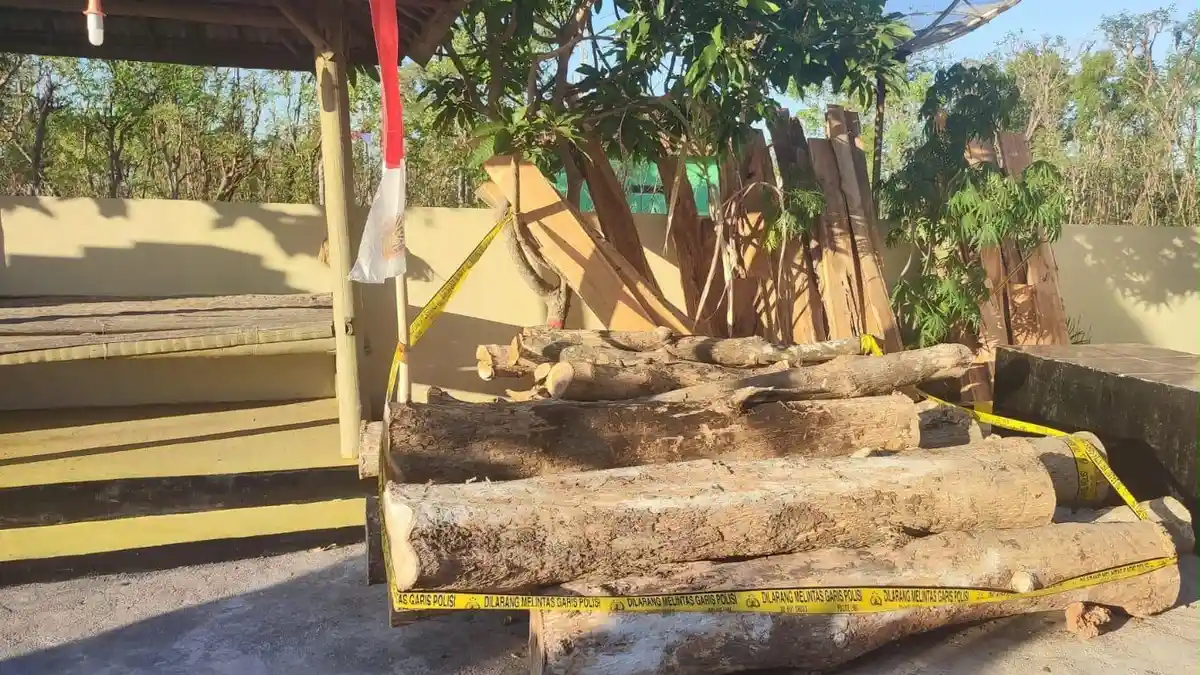Tiga Tersangka Kasus Kayu Pecaton di Sumenep Dibebaskan, Pelapor Ngaku Tak Pernah Cabut Laporan