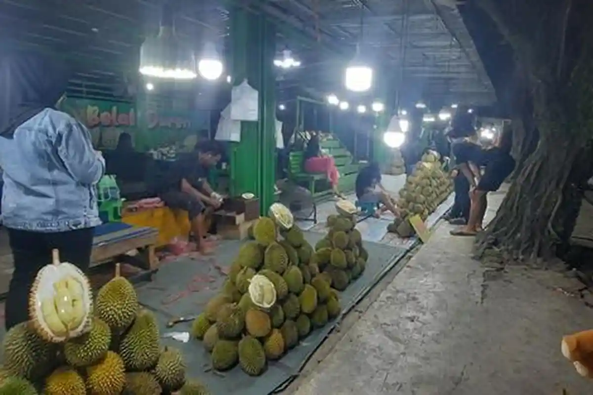 10 Cara Memilih Buah Durian yang Matang dan Dagingnya Tebal, Pilihlah yang Bulat