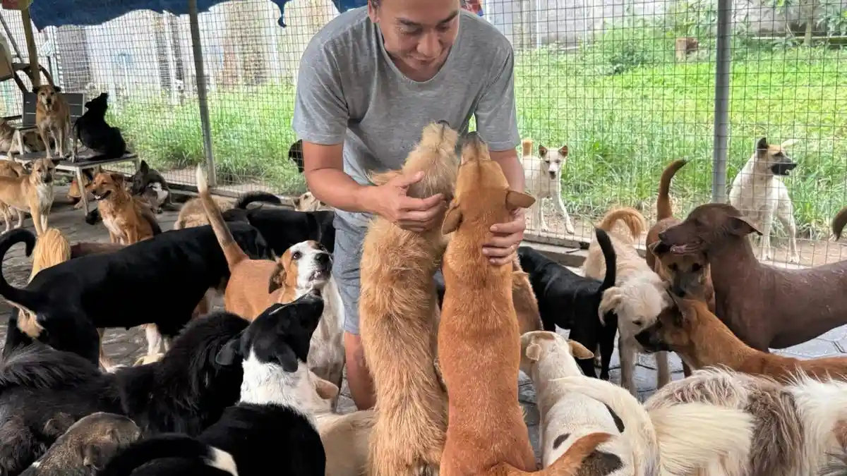 Ron-Ron Dog Care Merespons Siklus Anjing Terlantar di Jogja