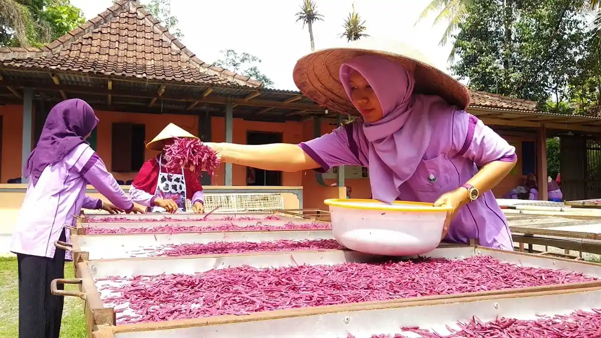 Perempuan Pedukuhan Pereng Berdaya Lewat KWT Melati
