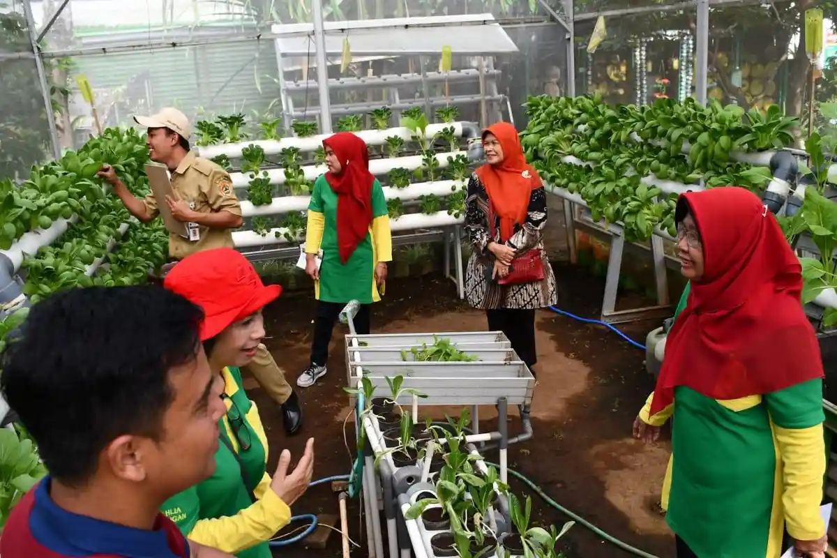 Pemkot Semarang Terus Dorong Pemanfaatan Lahan Tidur untuk Urban Farming
