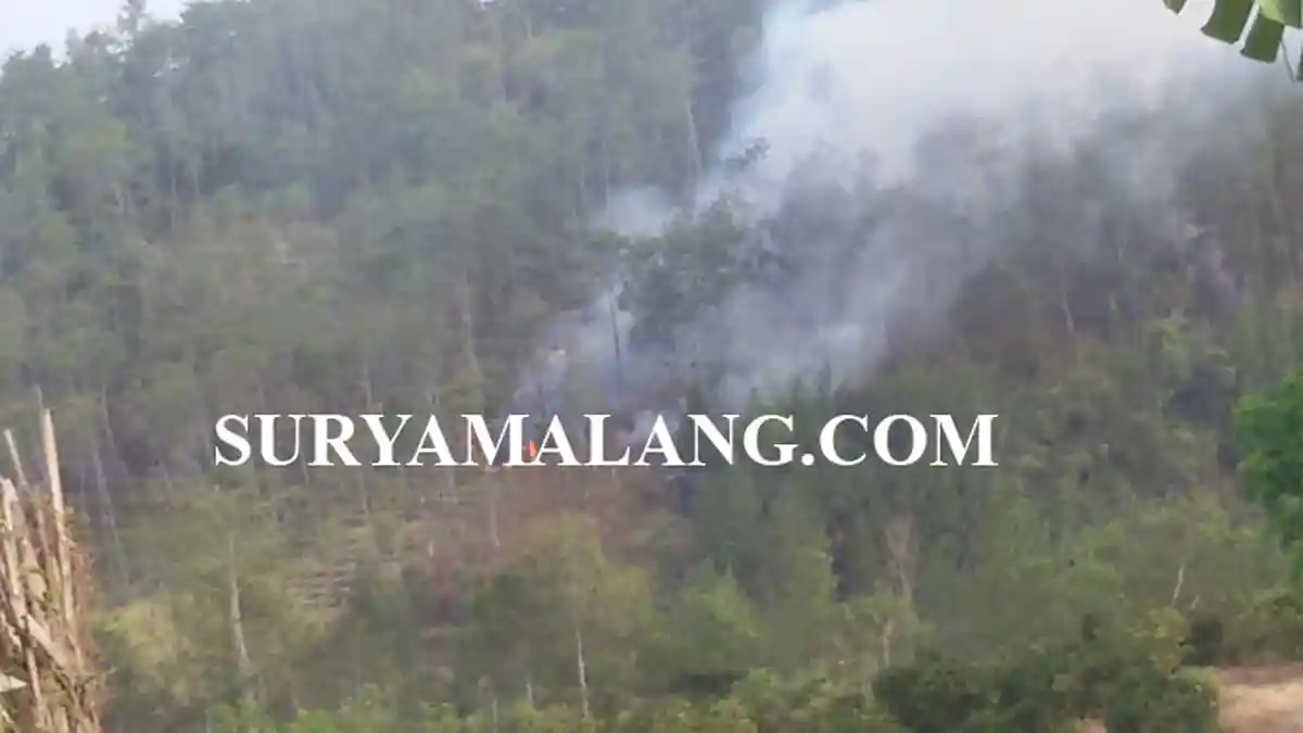 Awas, Ada 12 Titik Api di Empat Kabupaten di Jatim. Ini Penyebabnya!