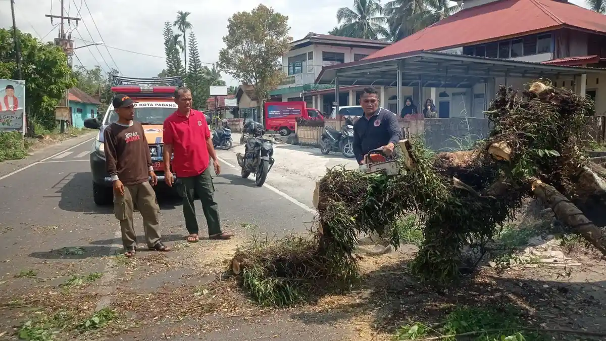 POPULER PADANG: Mahasiswi Terluka Ditimpa Pohon Tumbang dan Pencuri Sepeda Motor Ditangkap Polisi