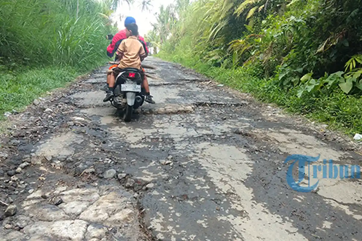 Jalan Menuju Objek Wisata Gajah Taro Gianyar Rusak Parah