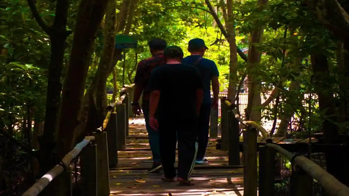 DULU Tempat Sampah, Kini Hutan Mangrove di Batam Ini Diminati Turis Asing