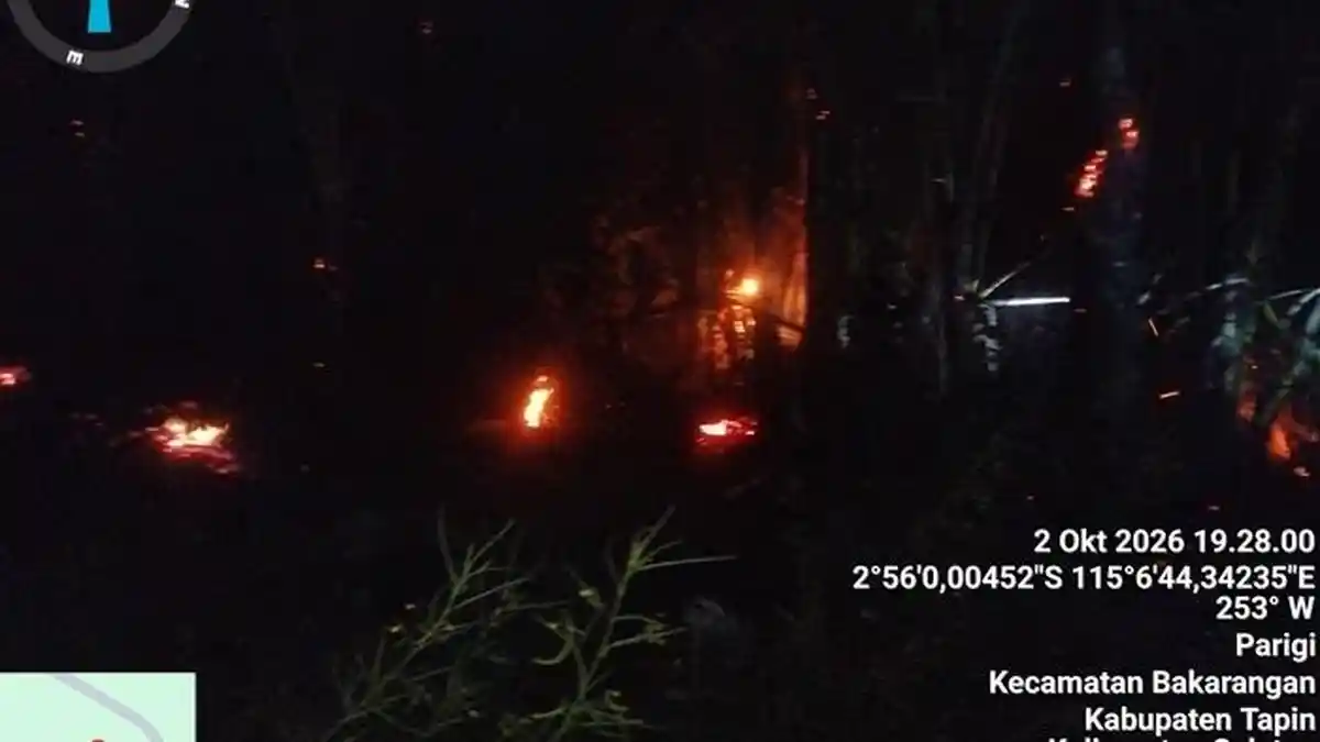 Dua Karhutla Terjadi di Tapin, Api di Candi Laras Utara dan Bakarangan ...