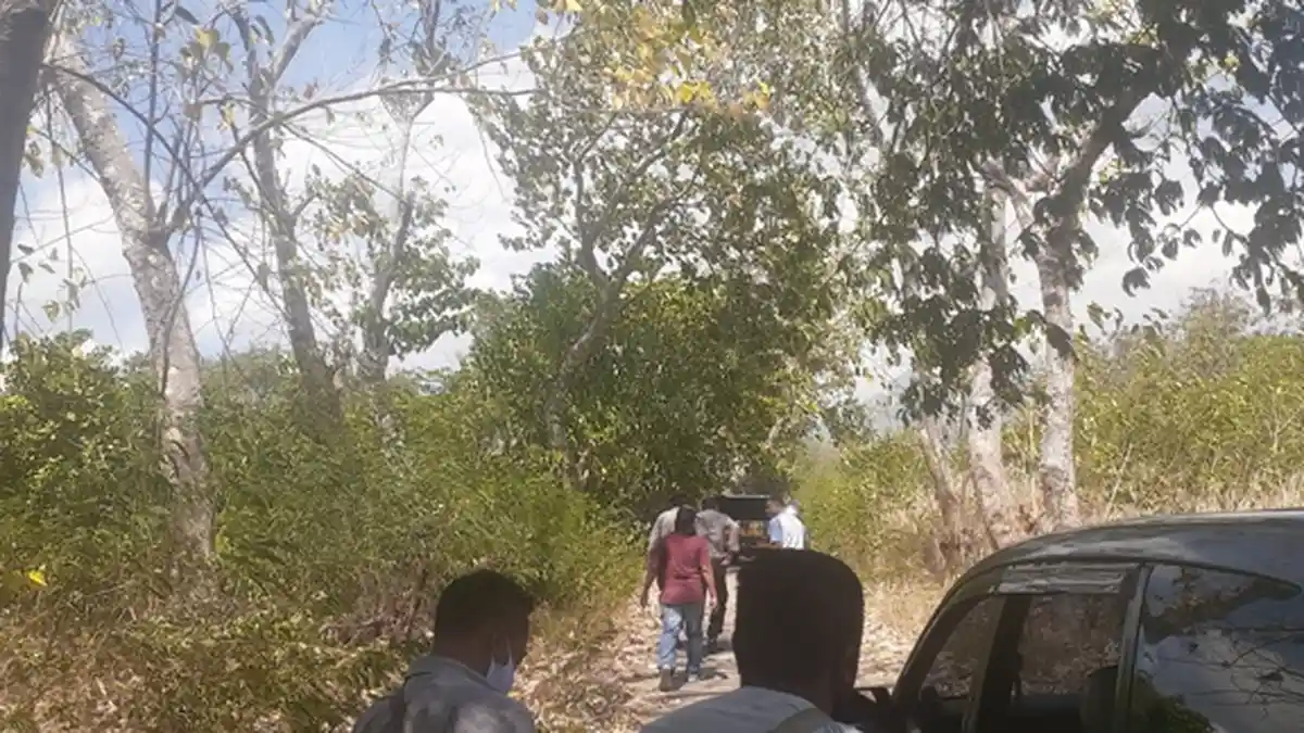 Kawasan Hutan Lindung di Desa Hoder Sikka Terbakar