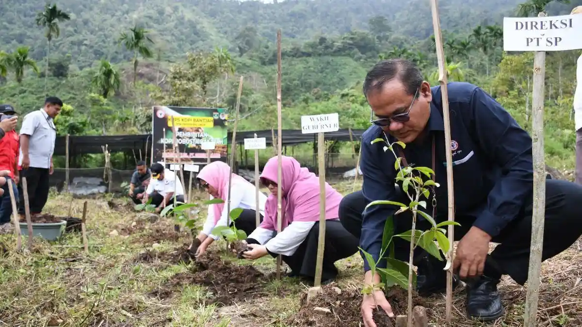 Komitmen Berdayakan HKm Sikayan Balumuik, Semen Padang Serahkan 16.000 Bibit Kopi Robusta Bantjah
