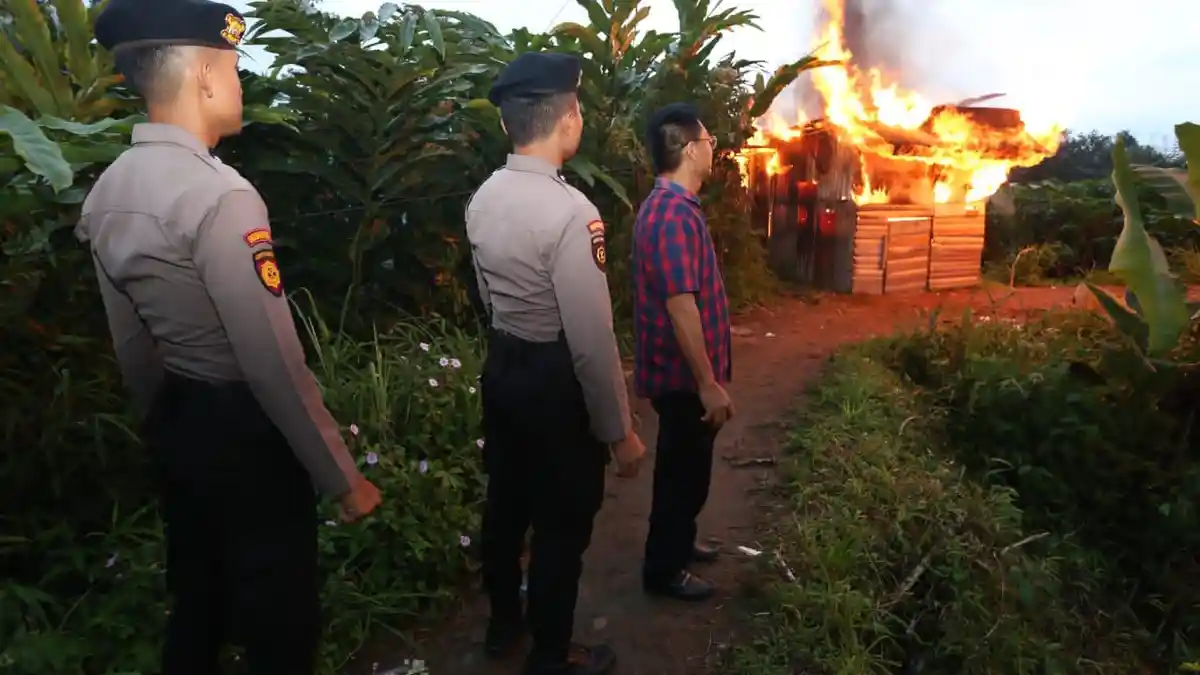Sarang Narkoba di Sibolangit Dibakar Polisi, Belasan Orang dan 2 Pengedar Turut Diangkut Petugas