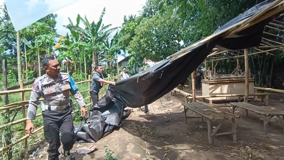 Polisi Bongkar Lima Tempat Perjudian Sabung Ayam di Jember