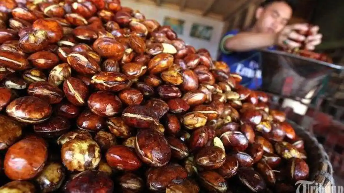 Harga Jengkol, Sate hingga Tarif Gunting Rambut Pria Jadi Penyumbang Inflasi di Padang & Bukittinggi