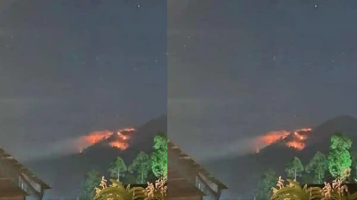 3 Fakta Kebakaran di Gunung Agung Bali, 2 Pendaki WNA Sempat Terjebak