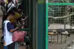 Libur Lebaran di Taman Margasatwa Ragunan
