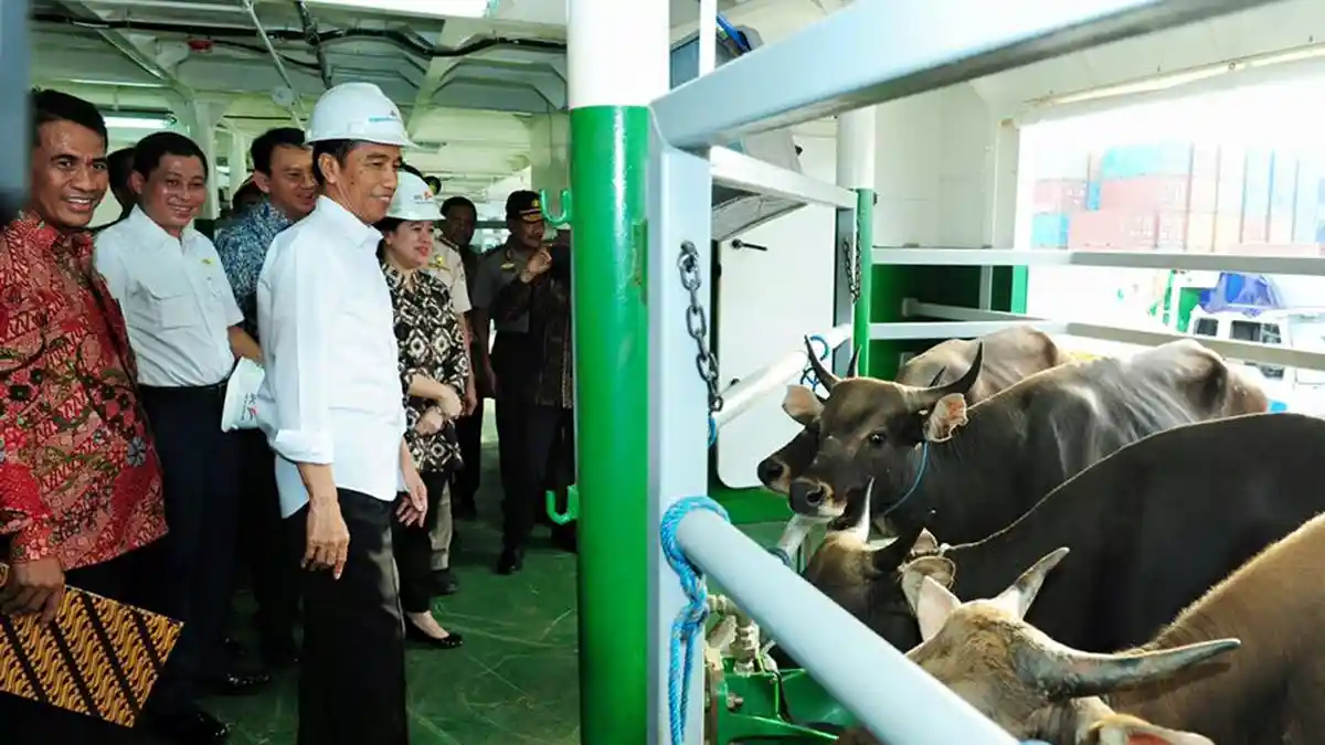 Adhie: RJ Lino Tidak Dilibatkan, Peringatan agar Menteri BUMN Memberhentikannya