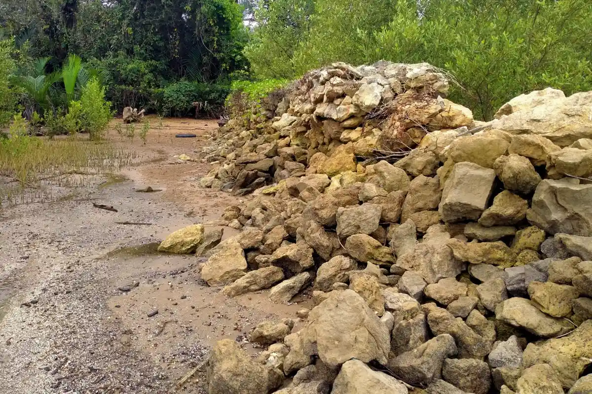 Abrasi Kian Parah Terjadi di Desa Api-Api PPU, Bronjong Tak Berfungsi Maksimal