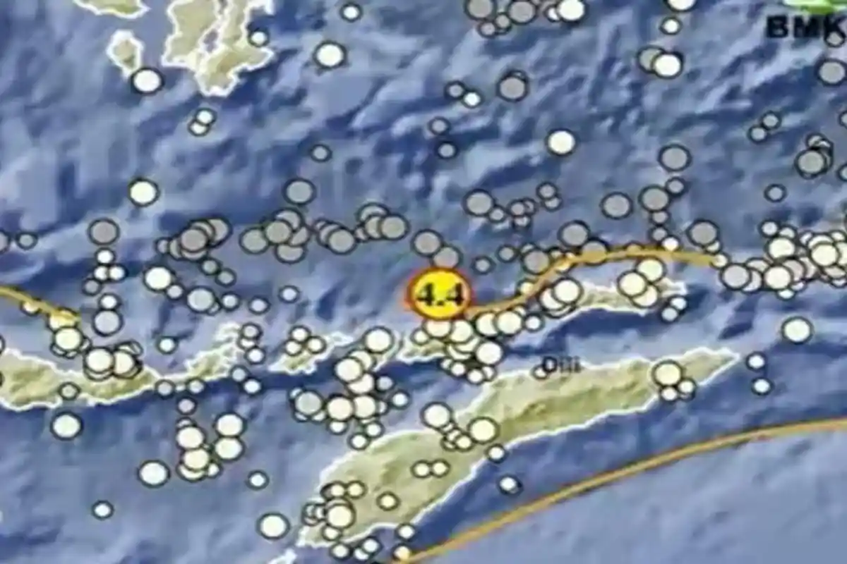 Info Gempa Terkini BMKG Hari Ini di Alor NTT, Pusat Gempa 2 Menit yang Lalu Magnitudo 4.4