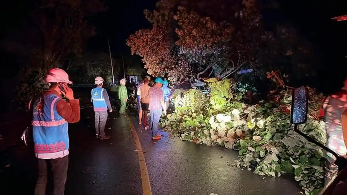 PLN Sabang Siaga Hadapi Cuaca Buruk, Antisipasi Pohon Tumbang Picu Pemadaman
