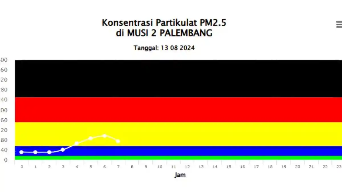 Kualitas Udara di Palembang Hari Ini Tidak Sehat, Imbas Kabut Asap Karhutla di OKI
