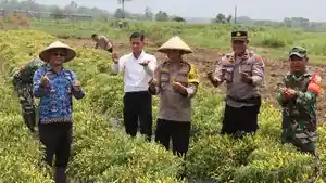 Wakapolres-Sumtim-panen-di-LEwa.jpg