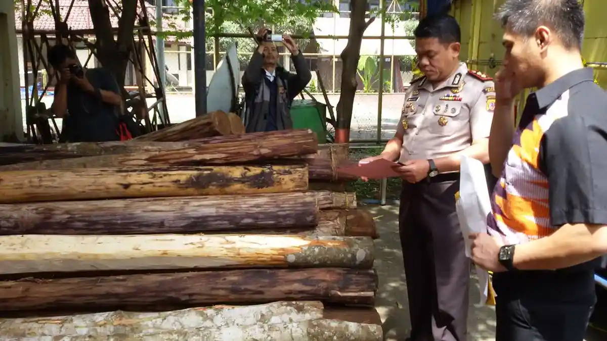 4 Tersangka Pencuri Kayu di Gunung Tilu Gender Ditangkap