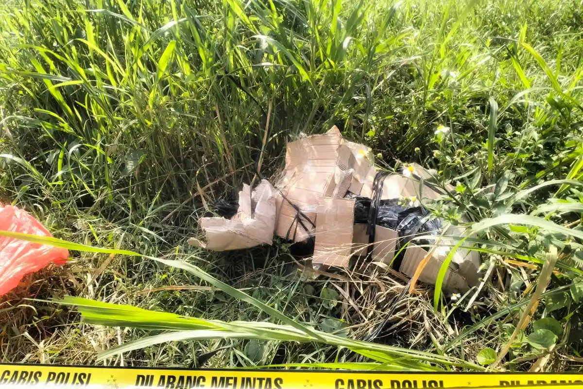 Mayat Dalam Kardus di Gresik, Pelaku juga Gasak Uang Korban Rp 1 Juta