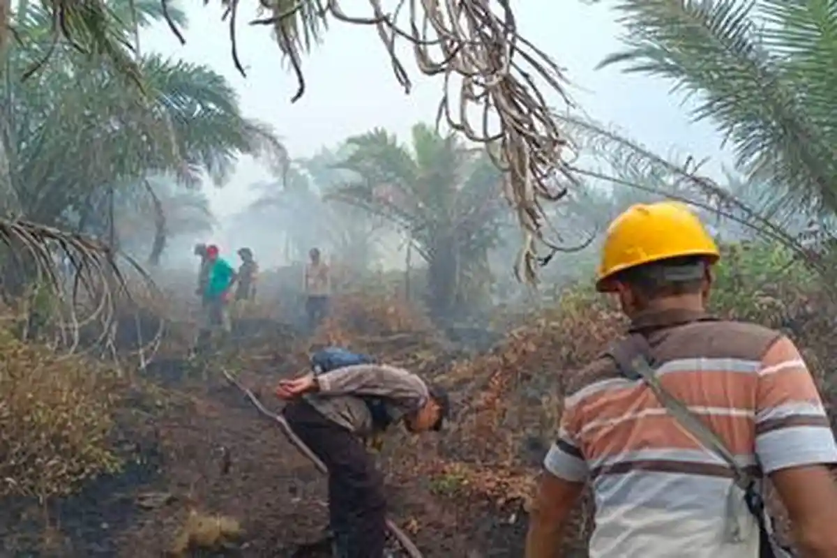 Api Bakar Kebun Perusahaan, Helikopter Water Bombing Bantu Pemadaman