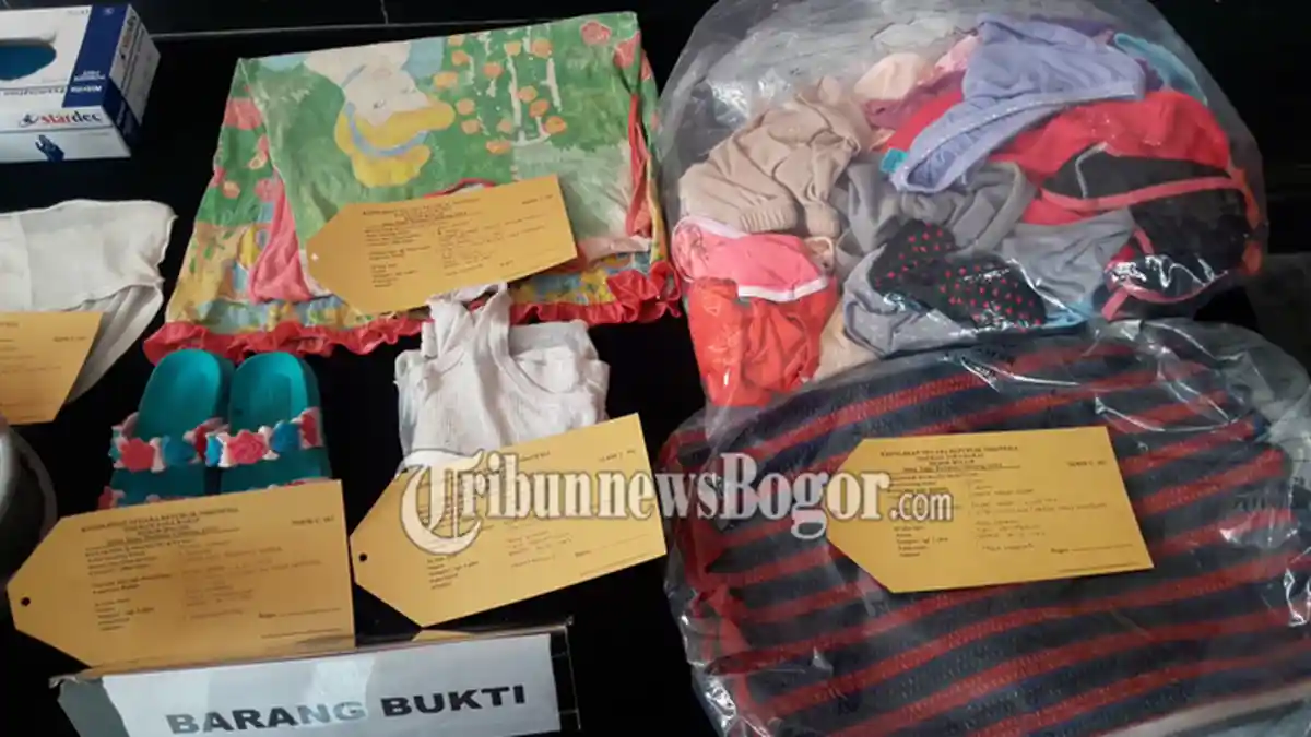 Pelaku Pembunuhan Bocah SD Ternyata Hobi Mencuri Celana Dalam Tetangga, Koleksinya Capai 1000 Buah