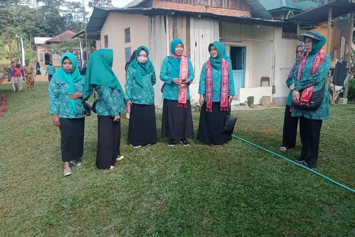Tekun Budidaya Rumput Gajah Mini, Sekali Panen Hasilkan Rp4 Juta